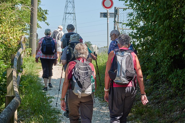 caminades saludables